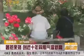 淄博暑热来袭 创近十年同期气温新高