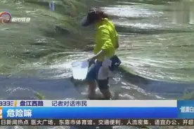 危险！盘龙江水位下降 市民江里“捞鱼”忙视频封面