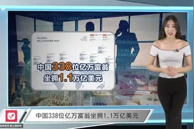 中国338位亿万富翁，坐拥1.1万亿美元视频封面