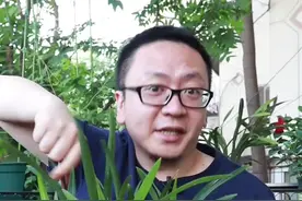 兰花靠谱的浇水姿势，1分钟get视频封面