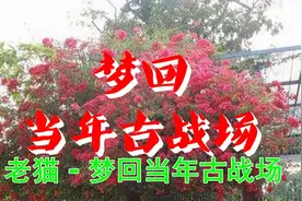 老猫一首《梦回当年古战场》深入灵魂的好歌值得细品，忍不住收藏视频封面