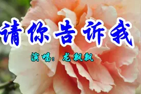 龙飘飘一首经典情歌《请你告诉我》好听极了视频封面
