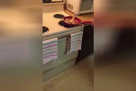 断头鱼在油锅里上演跳一跳