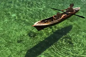 生活小科普：每天绿萝花泡水喝 坚持一个月后发生了惊人的变化视频封面
