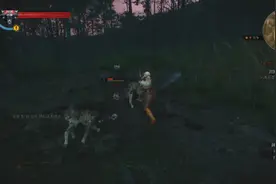 巫师3，这无限现闪，闪的我头有顶晕视频封面