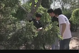 铠甲勇士：柚子离家出走，没想到碰上流氓视频封面