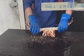 帝王蟹的正确吃法，也不是所有人都像小编一样吃不起的……视频封面