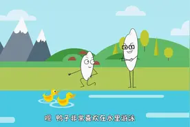 鸭子能总是浮在水面上，而鸡为什么不能？米粒计划亲子百科32集视频封面