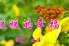一首《暖暖的幸福 》送给日夜思念的你，梦里梦外想的都是你！视频封面