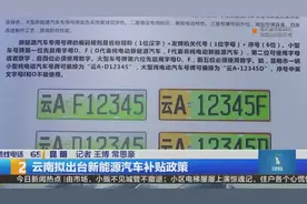 云南拟出台新能源汽车补贴政策视频封面