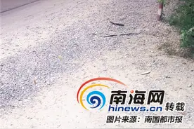 屯昌采石场大货车一路“拉撒”石子 多辆私家车轮胎被扎破图片