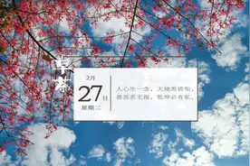 紧急通知！9月1日前广东交通 违法处理政策暂无变化 之后在自助终端处理违法 需事先绑定 丨新闻早茶图片