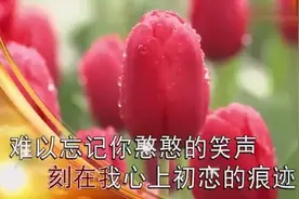 一曲《雪花飘落的时候》超级好听视频封面
