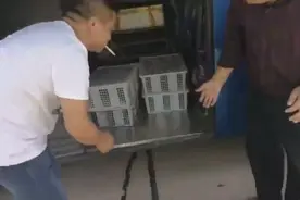 警示：客车用鸡和鸽子打掩护偷运野生动物 哥们儿潜伏看多了吧？视频封面