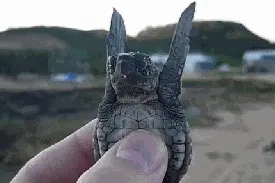 买机票前先看懂这个 甭管你用携程还是去哪儿图片