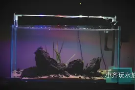 简单的鱼缸造景教程 新手玩起来吧