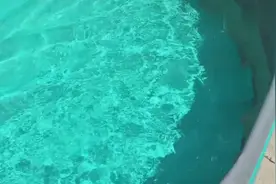 狗狗怕水用这个办法让它乖乖下水！