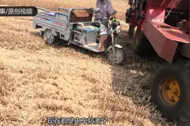 河南农村现在收麦子，电动三轮车成了主要拉麦子的交通工具！