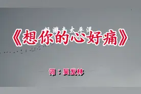 望海高歌新伤感歌曲《想你的心好痛》好想和你共度一生