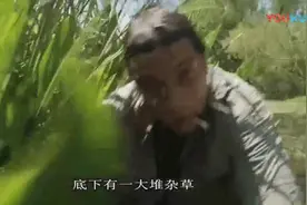 贝爷行走在沼泽地中，突然消失了，摄影师都吓懵了！视频封面