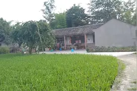 最美成都农村风景，这样的农家小院太漂亮，看一遍就让每个人向往视频封面