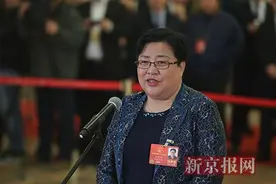 2018全国两会丨全国人大代表张宝艳：希望更多力量加入宝贝之家 帮被拐孩子回家图片