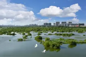 无创产前基因检测！新生儿DNA检测建档……免费！免费！为政府点赞！图片