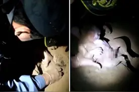 巴西新生儿出生时未哭被埋葬 8小时后救出仍有呼吸图片