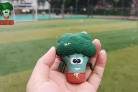 世界杯系列 足球场有那些区域和白线 你都叫得出名字吗视频封面