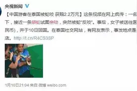 中国女游客与蟒蛇亲吻被咬伤，网友：吓死宝宝了！图片