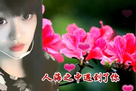 最美的相遇！太美了！网友手机自拍照片加自己唱的歌