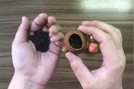 跟风买了最近流行的“小青柑茶”，感觉味道像烧糊的桔子一样视频封面