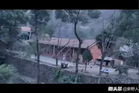 父母离异后寻找妈妈发生的感人故事视频封面