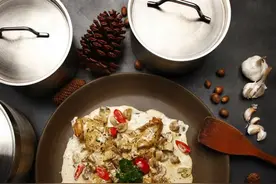 【鹦鹉厨房】芥末兔子图片