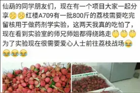为留核做实验！广西南宁一高校召集师生吃800斤荔枝图片