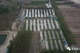 泔水猪是如何养成的？多家餐馆泔水“直送”养猪场图片