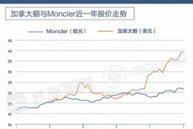 和“加拿大鹅”们相比 国产羽绒服究竟差哪了？图片