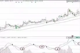 MACD指标高抛低吸高端战法图片