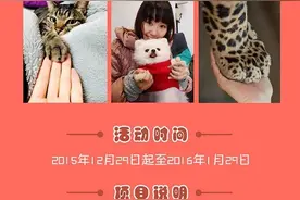 狗爪子的误区，你了解多少？图片