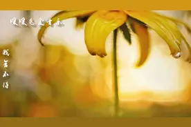 千分不舍，万分不舍，最后都要用心去祝福