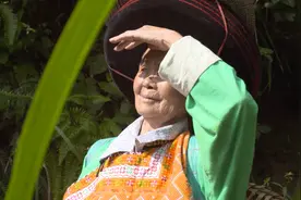 《时代影像》走进赶黄草视频封面