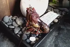 龙虾脱壳全过程 ,原来是这个样子的，长见识了图片