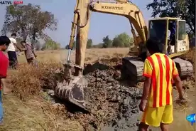 开挖掘机清塘，顺便把泥里的鱼都挖出来图片