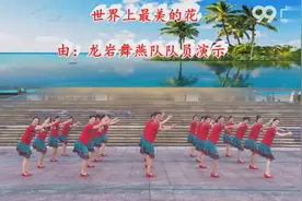 99广场舞今日推荐 《世界上最美的花》图片