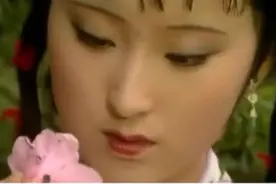 笛子演奏红楼梦插曲《葬花吟》流行不衰的音乐经典！图片