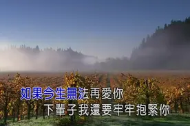 一曲晨熙《如果今生无法再爱你》，送给相爱却不能在一起的人图片