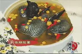 三七炖鸡的食疗价值
