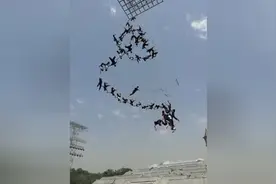 百人共同表演空中飞人，这场面实在太震撼了图片