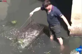 捕鱼达人各显神通，这是开挂了吗图片