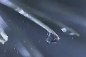 醉人的轻音乐《雨》，让我们相逢在这多情的雨季图片